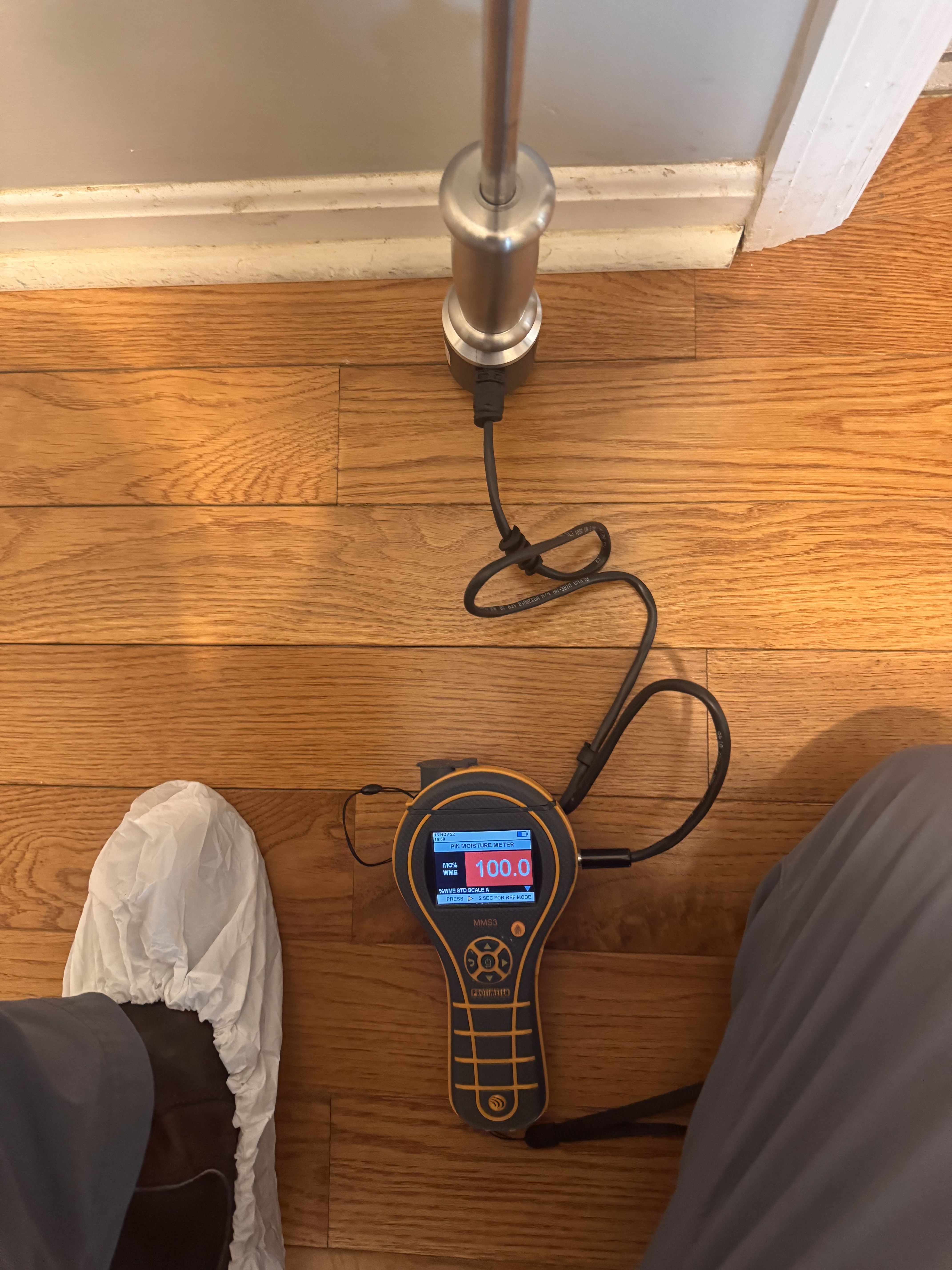 IRS technician using moisture meter to map water damage in a Charleston home