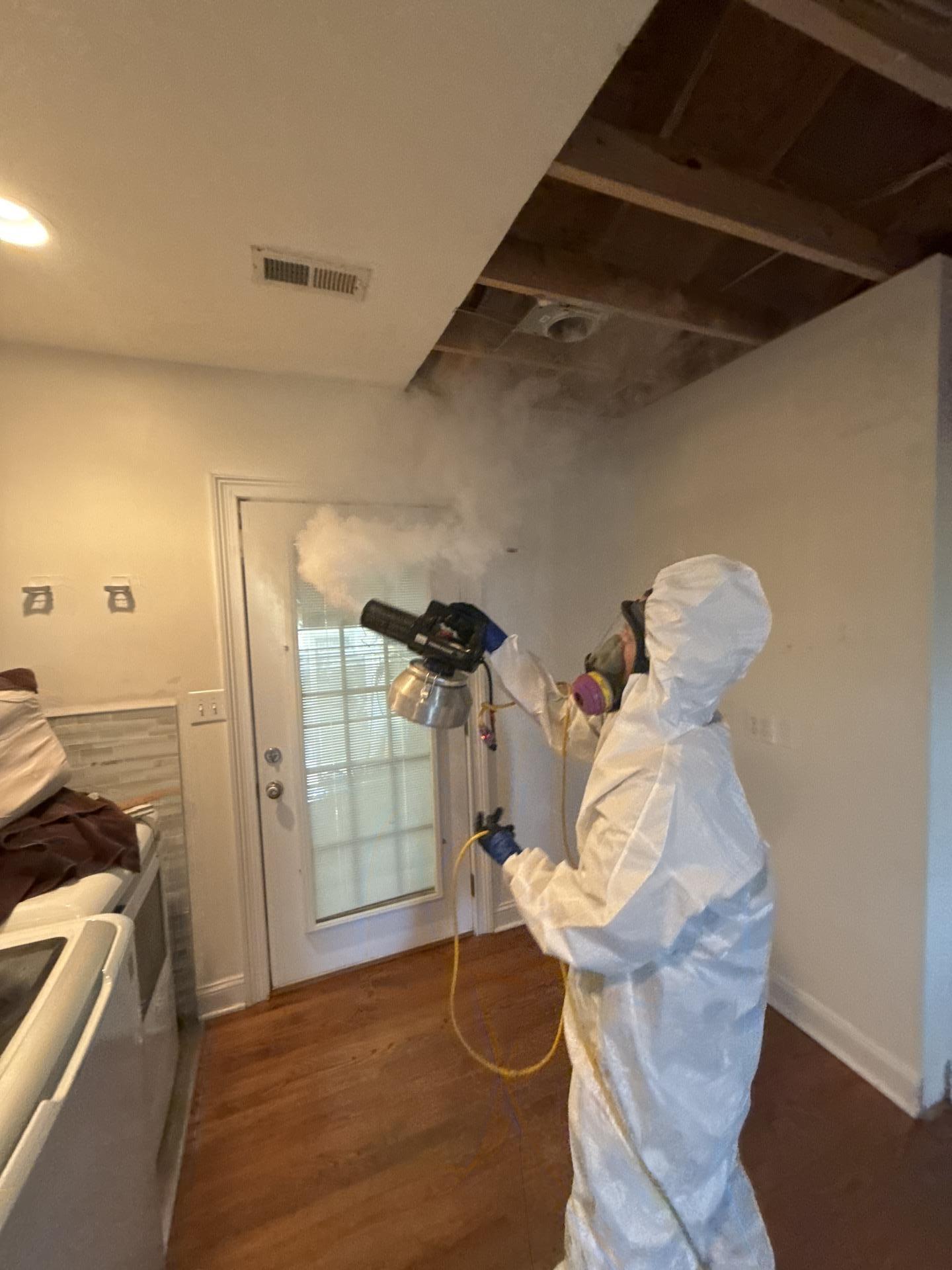 IRS technician fogging an area for mold remediation in Charleston