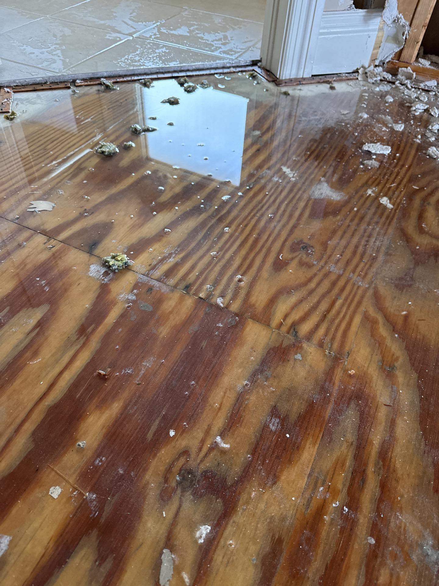 Standing water and damage on wood subfloor from storm intrusion in Charleston