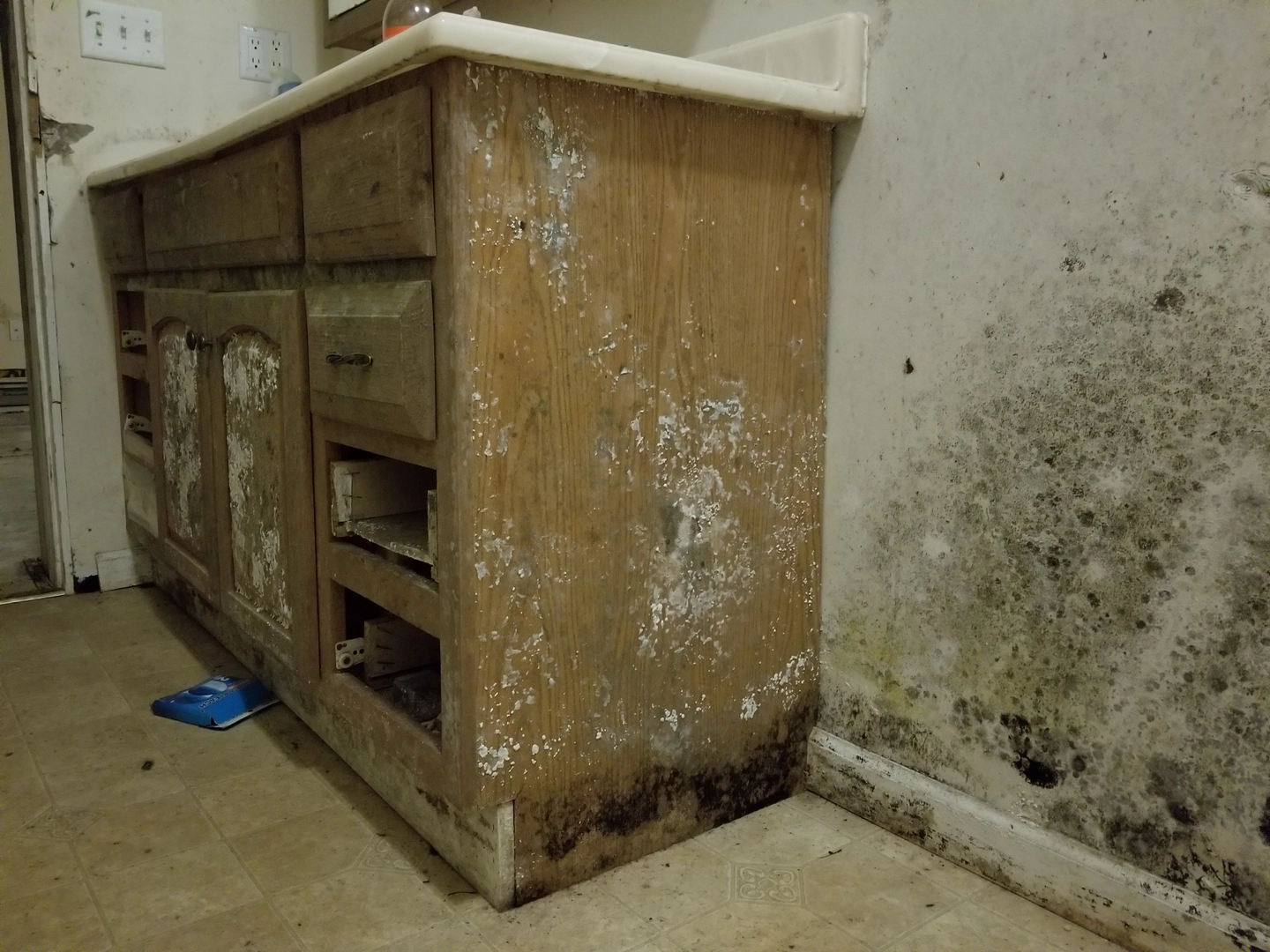 Extensive mold growth on kitchen cabinet and wall in a Charleston home